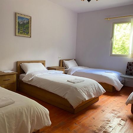 Vita Guesthouse Bajram Curri Dış mekan fotoğraf